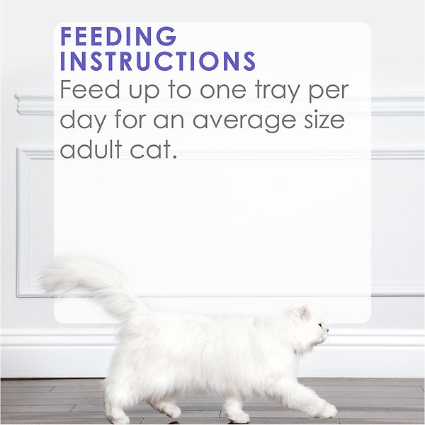 Show full view: Fancy Feast Hors d'Oeuvre White Meat Chicken & Shredded Beef Appetizer Cat Food Complement, 57-g pouch, case of 10 slide 9 of 10