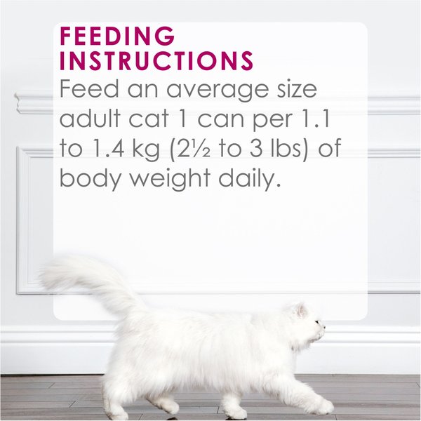 Show full view: Fancy Feast Delights with Cheddar Grilled Chicken & Cheddar Cheese Feast in Gravy Wet Cat Food, 85-g can, case of 24 slide 9 of 10