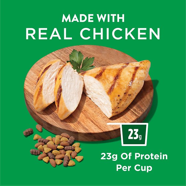 Show full view: Dog Chow Complete Adult Chicken Dry Dog Food, 2-kg bag slide 4 of 10