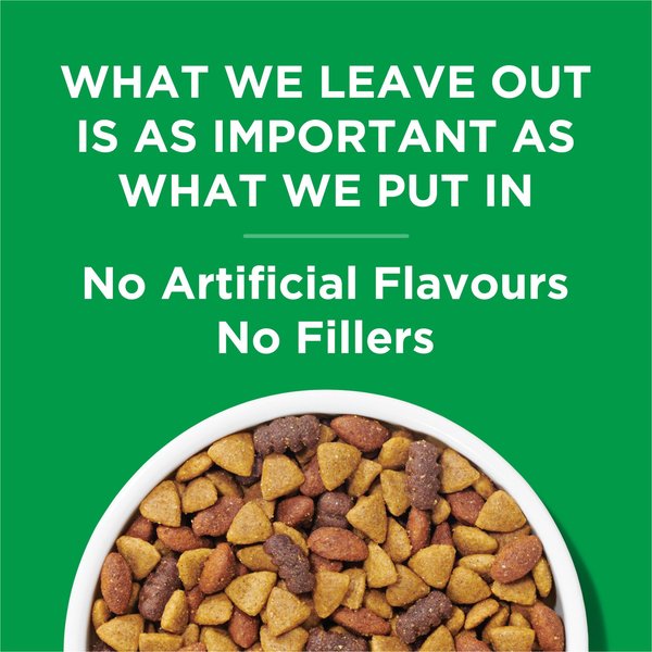 Show full view: Dog Chow Complete Adult Chicken Dry Dog Food, 2-kg bag slide 7 of 10