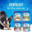 Show in main carousel: DentaLife Mini Breed Daily Oral Care Dog Treats, 24 count slide 8 of 12
