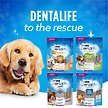 Show in main carousel: DentaLife Large Breed Daily Oral Care Dog Treats, 18 count slide 8 of 12