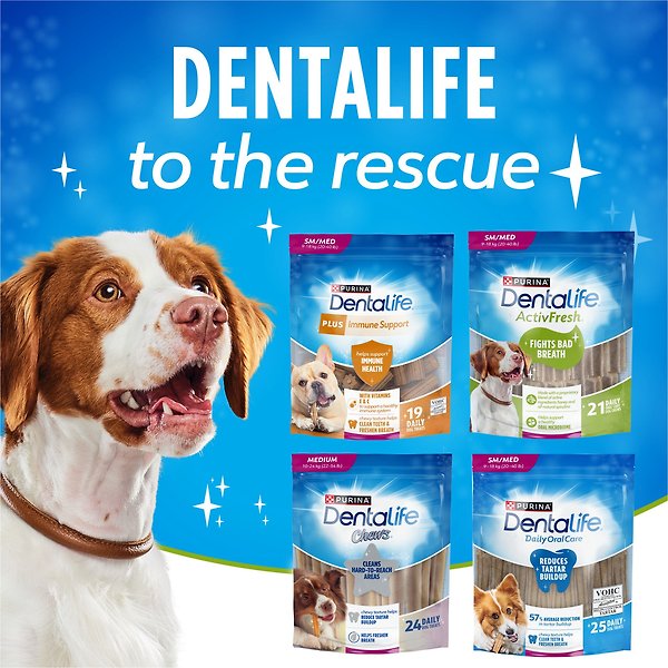 Show full view: DentaLife ActivFresh Medium Daily Oral Care Dog Treats, 172-g pouch slide 8 of 10