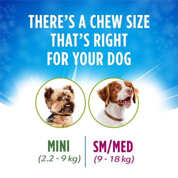 Show full view: DentaLife ActivFresh Medium Daily Oral Care Dog Treats, 745-g pouch slide 7 of 10