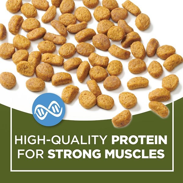 Show full view: Cat Chow Naturals with Real Chicken & Salmon Dry Cat Food, 1.42-kg bag slide 7 of 11