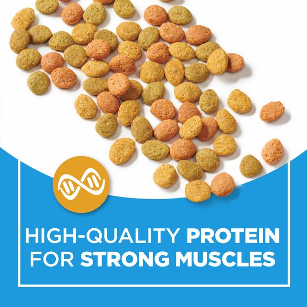 Show full view: Cat Chow Complete with Real Chicken Dry Cat Food, 2-kg bag slide 8 of 10