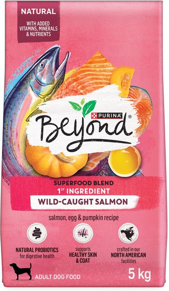 PURINA BEYOND Superfood Blend Wild Caught Salmon Egg Pumpkin Recipe Dry Dog Food 5 kg bag Chewy Canada