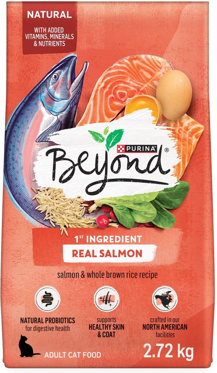 PURINA BEYOND Simply Salmon Whole Brown Rice Recipe Dry Cat Food 2.72 kg bag Chewy Canada