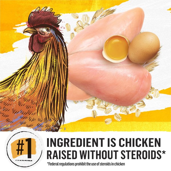 Show full view: Purina Beyond Simply Farm-Raised Chicken & Whole Oat Meal Recipe Dry Cat Food, 5.89-kg bag slide 3 of 11