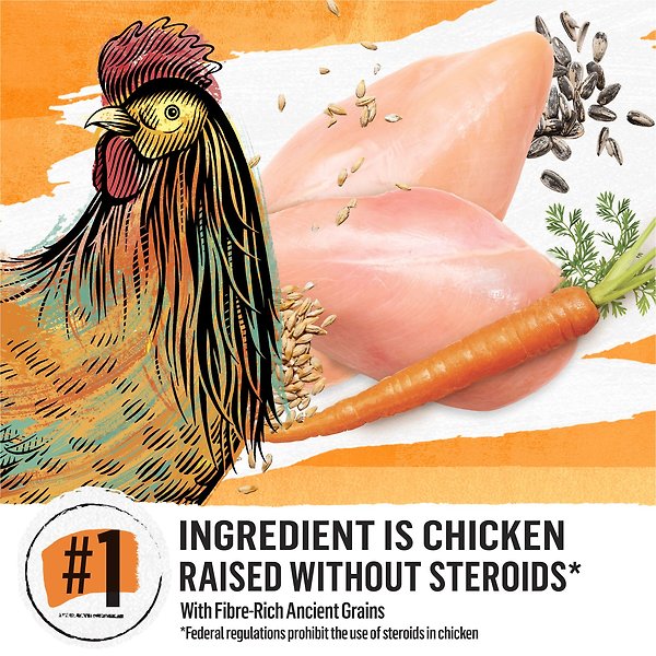 Show full view: Purina Beyond Simply Farm-Raised Chicken & Whole Barley Recipe Dry Dog Food, 10.8-kg bag slide 3 of 9