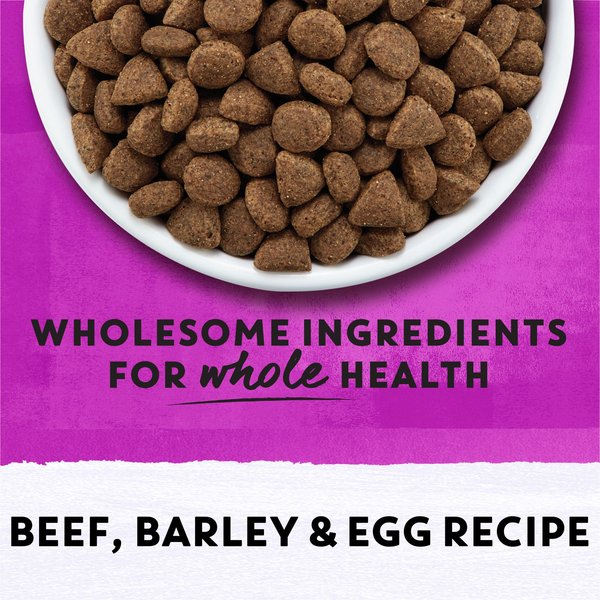 Show full view: Purina Beyond Simply Farm-Raised Beef, Barley & Free Run Egg Recipe Dry Dog Food, 1.67-kg bag slide 7 of 9