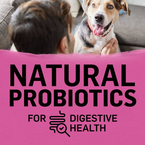 Show full view: Purina Beyond Simply Farm-Raised Beef, Barley & Free Run Egg Recipe Dry Dog Food, 5-kg bag slide 3 of 15