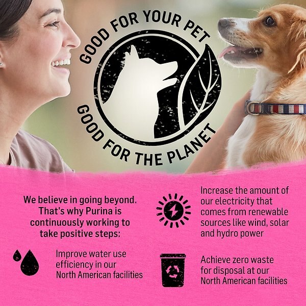 Show full view: Purina Beyond Simply Farm-Raised Beef, Barley & Free Run Egg Recipe Dry Dog Food, 5-kg bag slide 9 of 15