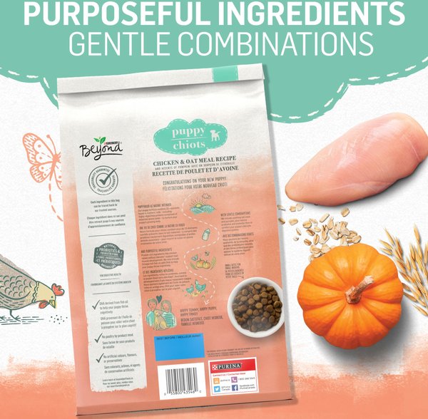 Show full view: Purina Beyond Puppy Chicken & Oat Meal Recipe Dry Dog Food, 1.67-kg bag slide 3 of 9