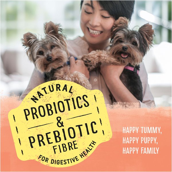 Show full view: Purina Beyond Puppy Chicken & Oat Meal Recipe Dry Dog Food, 1.67-kg bag slide 5 of 9