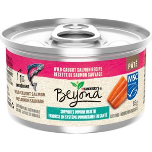 Purina beyond kat best sale