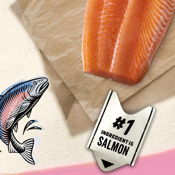 Show full view: Purina Beyond Pate Grain-Free Wild-Caught Salmon Recipe Wet Cat Food, 85-g can, case of 12 slide 3 of 18