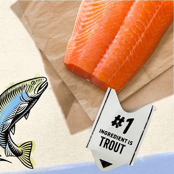 Show full view: Purina Beyond Pate Grain-Free Trout & Catfish Recipe Wet Cat Food, 85-g can, case of 12 slide 3 of 17