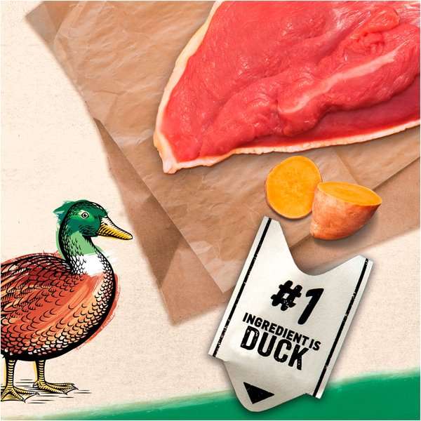 Show full view: Purina Beyond Pate Grain-Free Canadian Duck & Sweet Potato Recipe Wet Cat Food, 85-g can, case of 12 slide 3 of 17