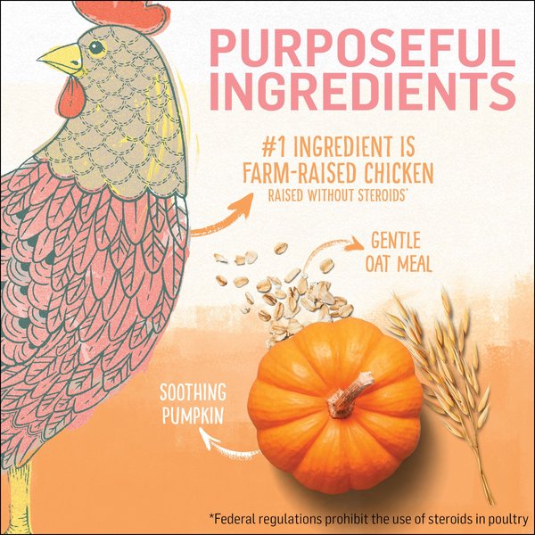 Show full view: Purina Beyond Kitten Chicken & Oat Meal Recipe Dry Cat Food, 1.36-kg bag slide 4 of 11