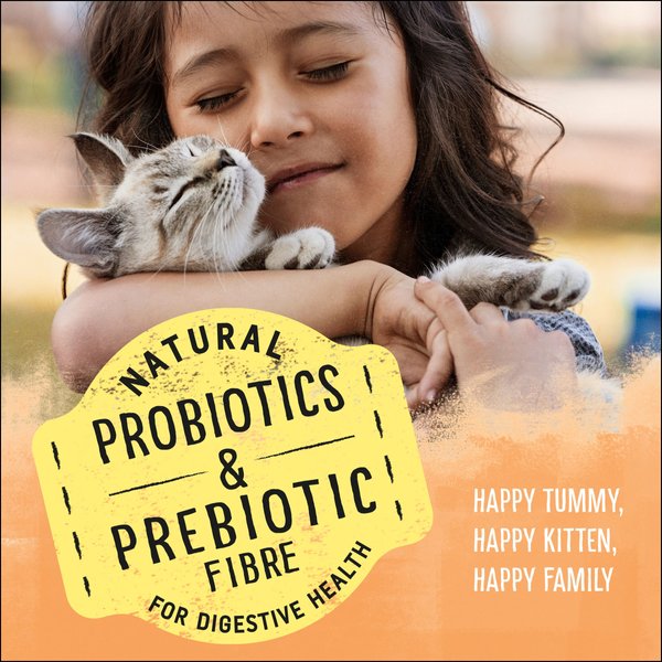 Show full view: Purina Beyond Kitten Chicken & Oat Meal Recipe Dry Cat Food, 1.36-kg bag slide 5 of 11