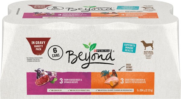 Purina beyond grain free canned 2024 dog food