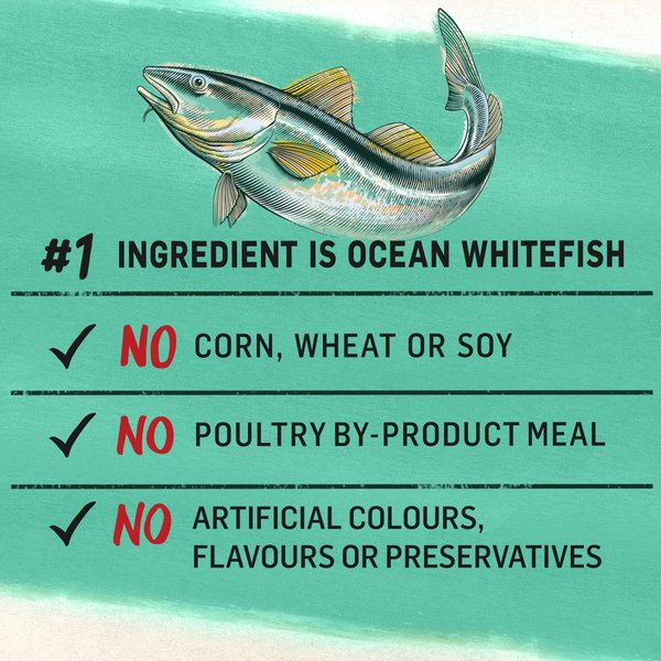 Show full view: Purina Beyond Grain-Free Wild-Caught Whitefish & Free Run Egg Recipe Dry Cat Food, 1.36-kg bag slide 5 of 18