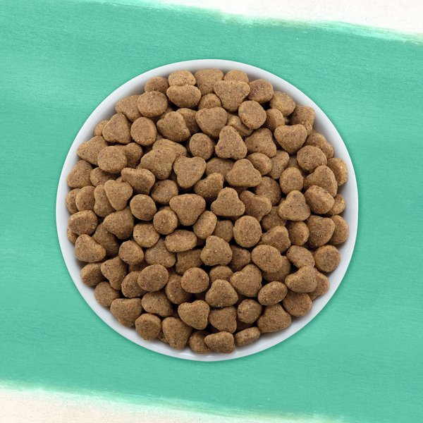 Show full view: Purina Beyond Grain-Free Wild-Caught Whitefish & Free Run Egg Recipe Dry Cat Food, 1.36-kg bag slide 11 of 18