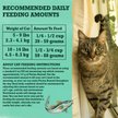 Show in main carousel: Purina Beyond Grain-Free Wild-Caught Whitefish & Free Run Egg Recipe Dry Cat Food, 1.36-kg bag slide 13 of 18