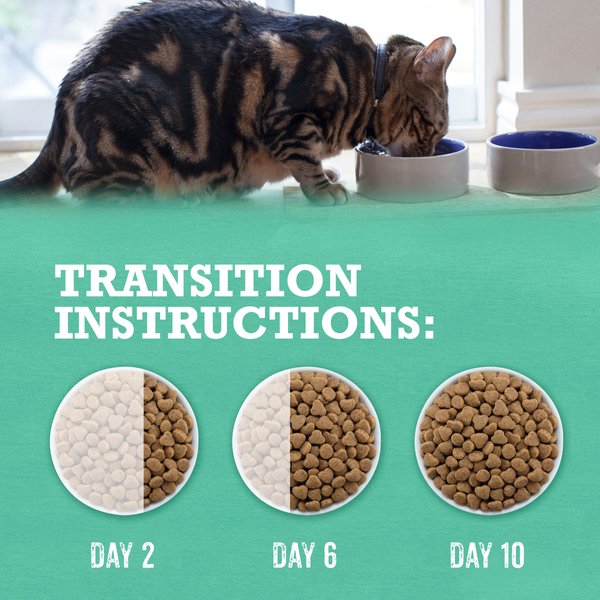 Show full view: Purina Beyond Grain-Free Wild-Caught Whitefish & Free Run Egg Recipe Dry Cat Food, 1.36-kg bag slide 15 of 18