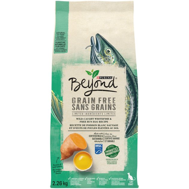 PURINA BEYOND Grain-Free Indoor Cat Wild-Caught Salmon, Egg & Sweet Potato  Recipe Dry Cat Food, 2.26-kg bag - Chewy Canada