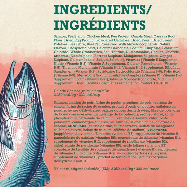 Show full view: Purina Beyond Grain-Free Indoor Cat Wild-Caught Salmon, Egg & Sweet Potato Recipe Dry Cat Food, 2.26-kg bag slide 3 of 13