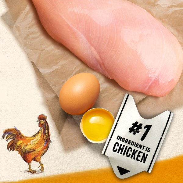 Show full view: Purina Beyond Grain-Free Farm-Raised Chicken & Egg Recipe Dry Cat Food, 1.36-kg bag slide 3 of 17