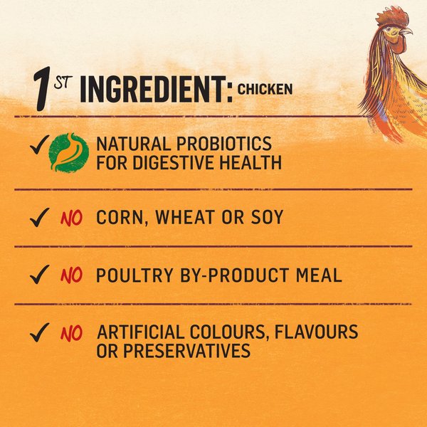 Show full view: Purina Beyond Grain-Free Farm-Raised Chicken & Egg Recipe Dry Cat Food, 1.36-kg bag slide 5 of 17