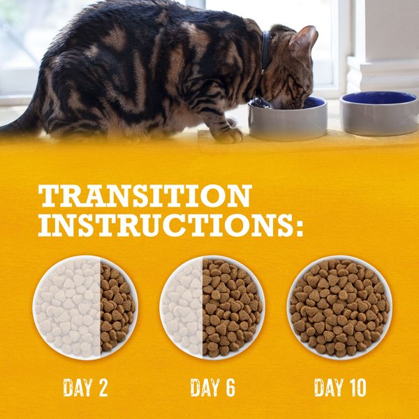 Show full view: Purina Beyond Grain-Free Farm-Raised Chicken & Egg Recipe Dry Cat Food, 1.36-kg bag slide 15 of 17