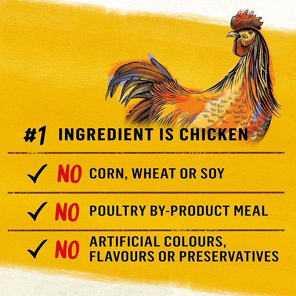 Show full view: Purina Beyond Chicken, Carrot & Pea Recipe Ground Entree Wet Dog Food, 368-g can, case of 12 slide 5 of 18