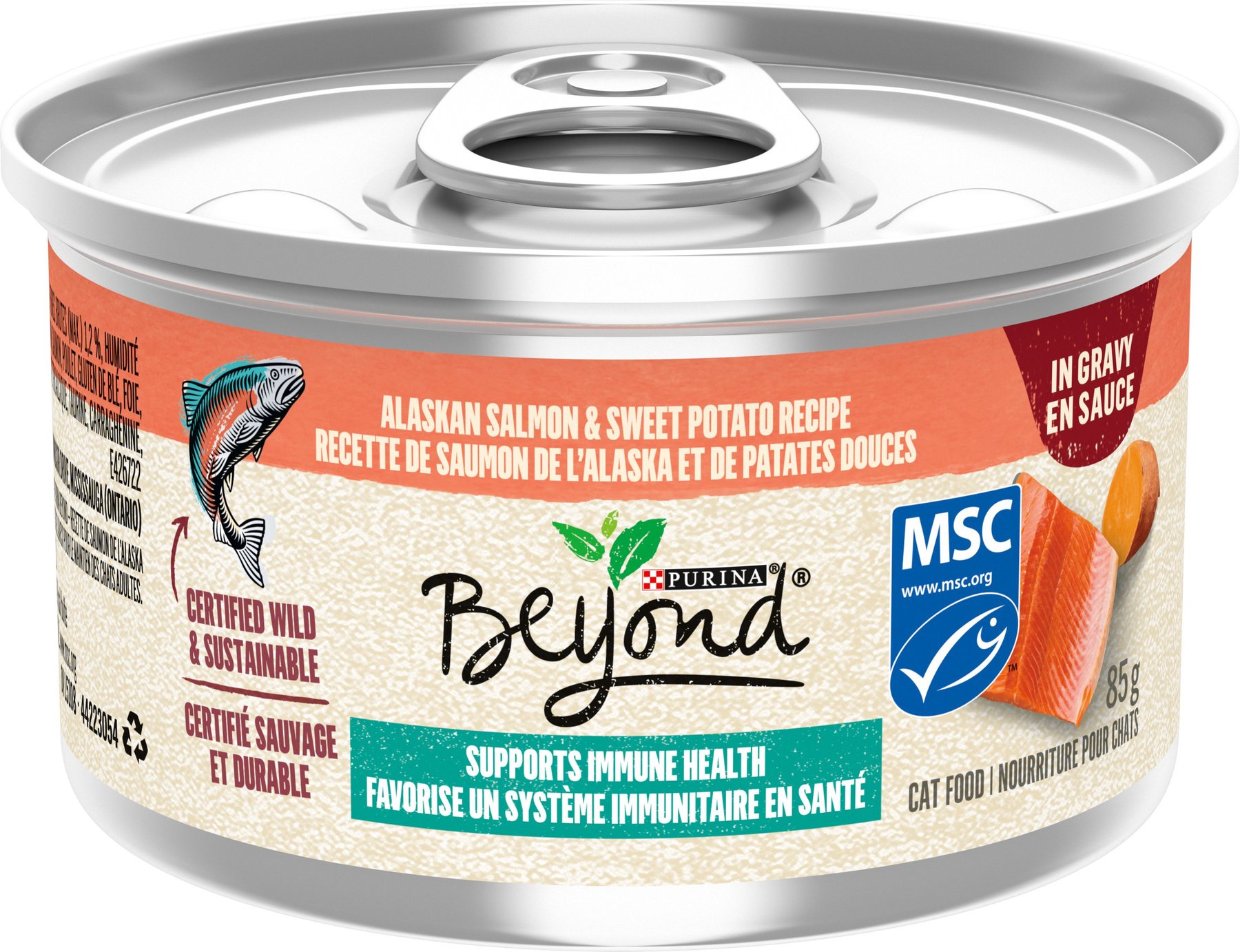 Beyond cat outlet food salmon