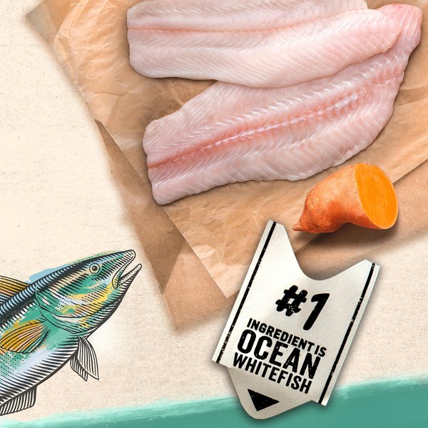 Show full view: Purina Beyond Alaskan Cod, Salmon & Sweet Potato Recipe Wet Dog Food, 368-g can, case of 12 slide 3 of 11