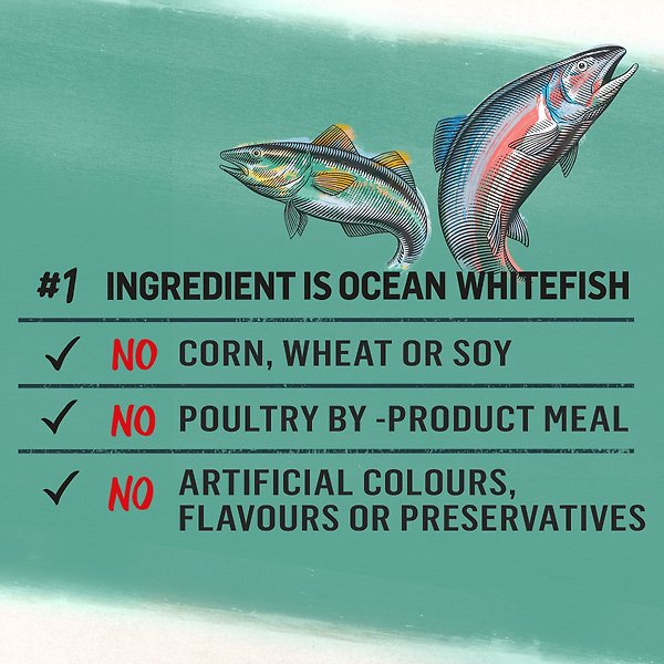 Show full view: Purina Beyond Alaskan Cod, Salmon & Sweet Potato Recipe Wet Dog Food, 368-g can, case of 12 slide 4 of 11