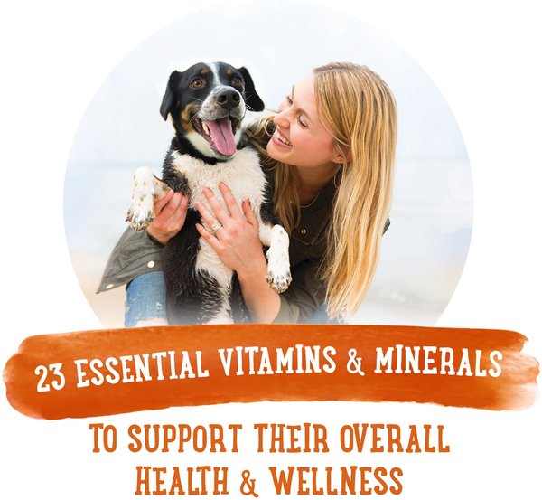 Show full view: Purina Beneful Prepared Meals Simmered Chicken Medley Wet Dog Food, 283-g tub, case of 8 slide 5 of 10