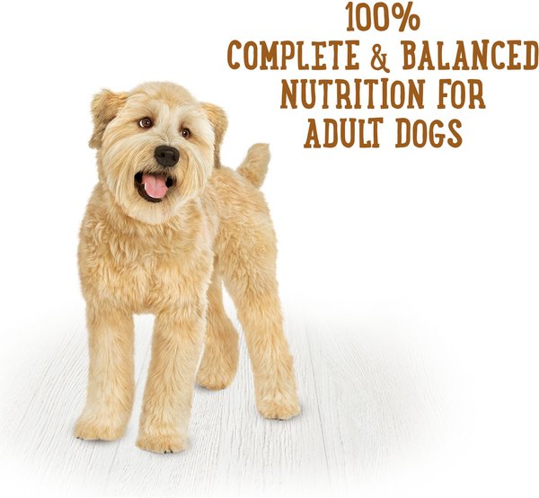 Show full view: Purina Beneful Prepared Meals Roasted Turkey Medley Wet Dog Food, 283-g tub, case of 8 slide 6 of 10