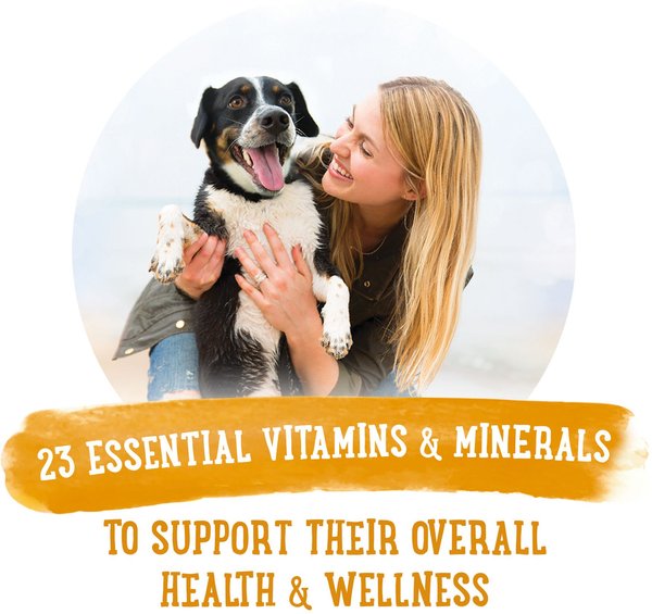 Show full view: Purina Beneful Prepared Meals Chicken Stew Wet Dog Food, 283-g tub, case of 8 slide 5 of 10