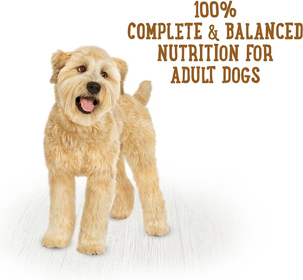 Show full view: Purina Beneful Prepared Meals Chicken Stew Wet Dog Food, 283-g tub, case of 8 slide 6 of 10