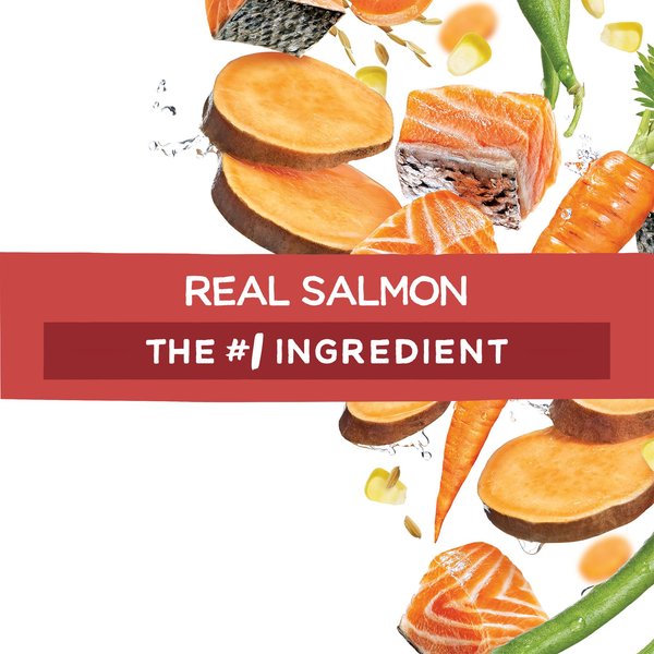 Show full view: Purina Beneful Originals with Real Salmon Dry Dog Food, 12.7-kg bag slide 6 of 10