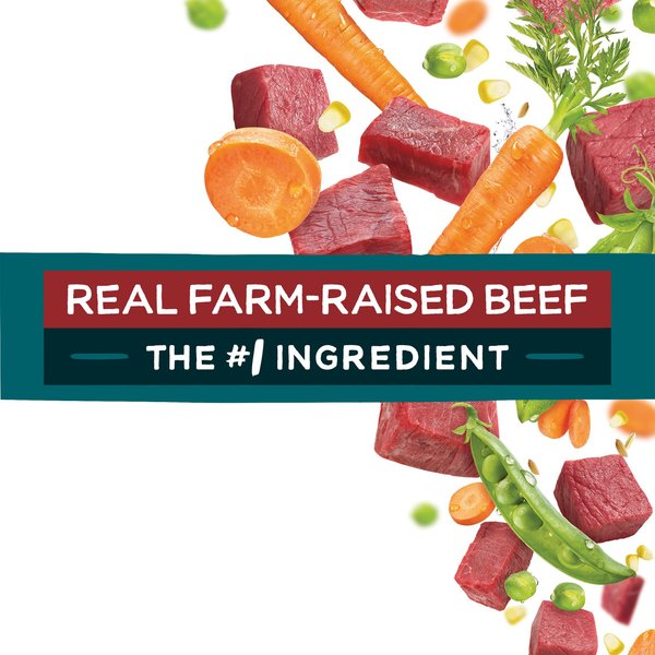 Show full view: Purina Beneful IncrediBites for Small Dogs with Real Beef Dry Dog Food, 1.6-kg bag slide 9 of 17