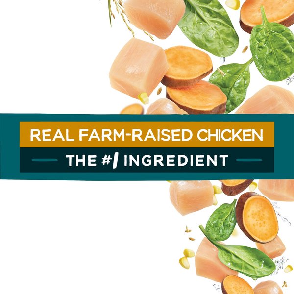 Show full view: Purina Beneful IncrediBites for Small Dogs with Real Chicken Dry Dog Food, 1.6-kg bag slide 6 of 9