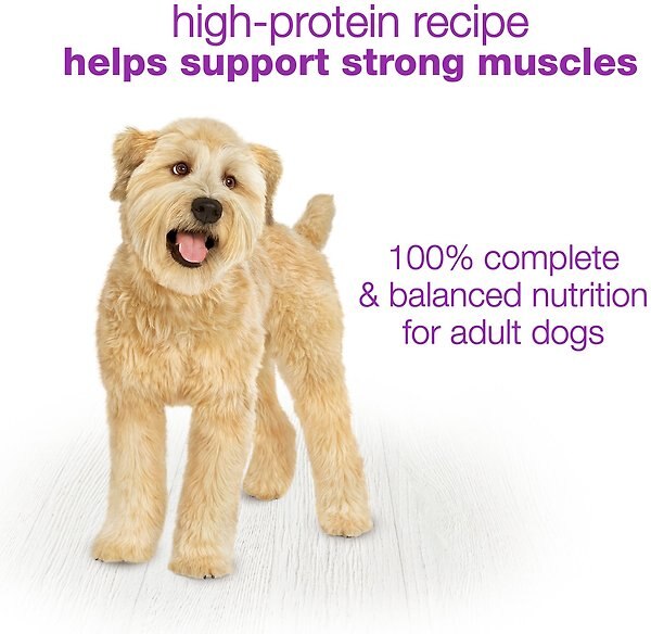 Show full view: Purina Beneful Chopped Blends with Lamb, Brown Rice, Carrots & Tomatoes Wet Dog Food, 283-g tub, case of 8 slide 6 of 10