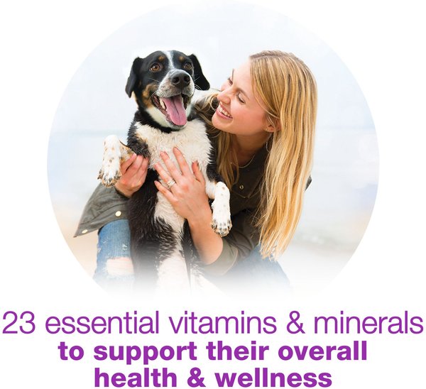 Show full view: Purina Beneful Chopped Blends with Chicken, Carrots, Peas & Wild Rice Wet Dog Food, 283-g tub, case of 8 slide 5 of 10