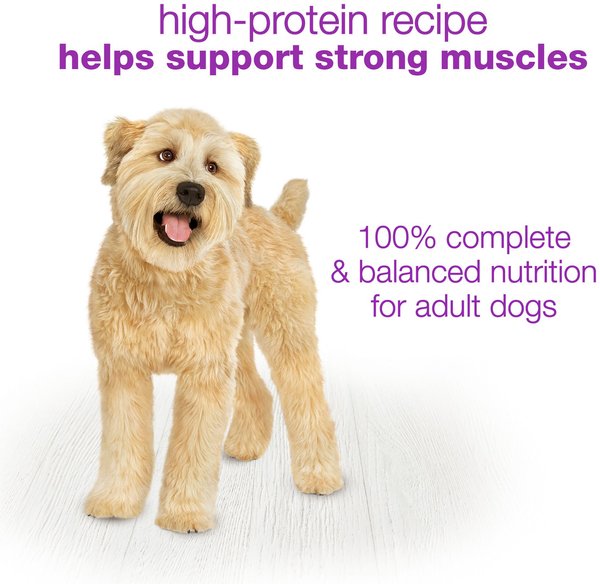 Show full view: Purina Beneful Chopped Blends with Chicken, Carrots, Peas & Wild Rice Wet Dog Food, 283-g tub, case of 8 slide 6 of 10