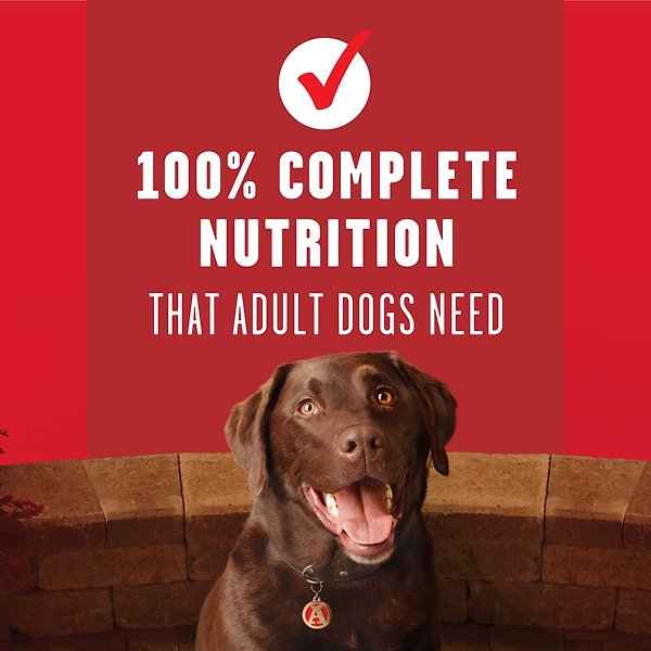 Show full view: ALPO Moist & Meaty with Real Chicken Wet Dog Food, 170-g pouch, case of 9 slide 4 of 8